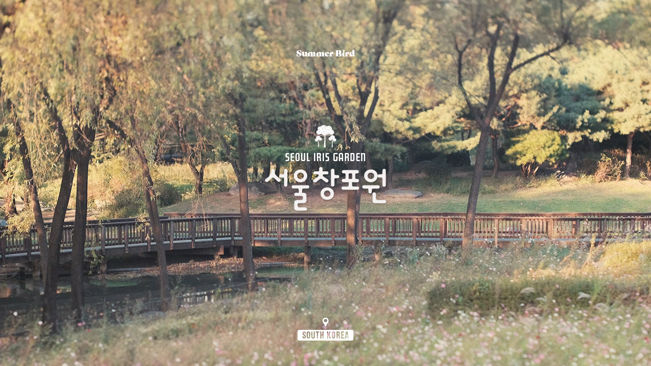 도봉산과 수락산이 보이는 생태공원 '서울창포원' | 유튜브 영상 제작