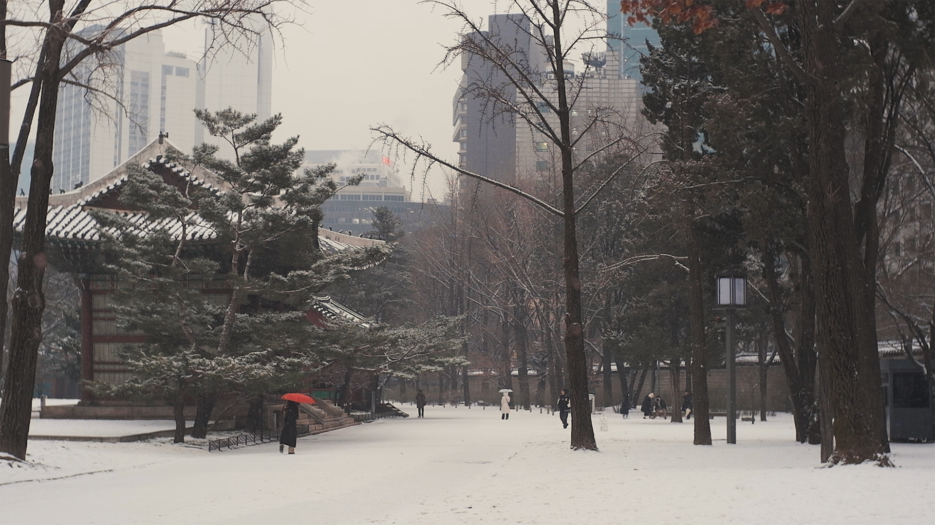 눈 내리는 날, 아름다운 '덕수궁' | 유튜브 영상 제작